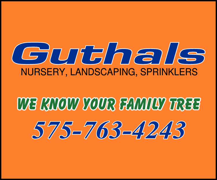 Advertise Banner for https://www.guthalsnurserylandscaping.com