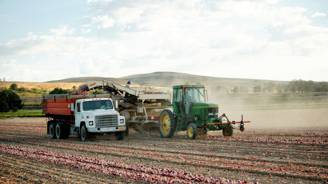 Picture for article "Ontario, OR"