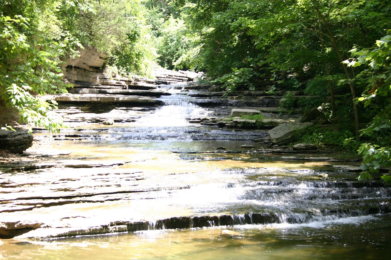 Picture for article "Bella Vista, AR"