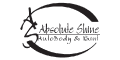 Absolute Shine Auto Body & Paint logo