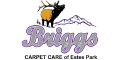 Briggs Carpet Care of Estes Park logo