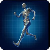 Arizona Mountain Orthopedics logo