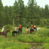Porter Mountain Stables logo