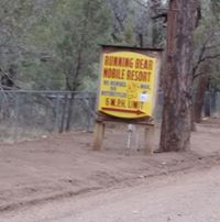 Running Bear Mobile Resort logo