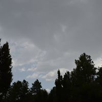 Mogollon Resort Cabins logo