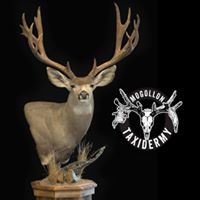 Mogollon Taxidermy logo