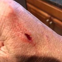 Oak Creek Country Club logo