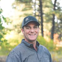 Wood Chiropractic logo