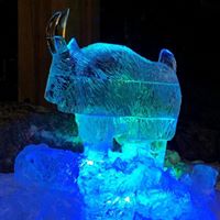 Glacier Club logo
