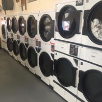 Bayfield Family Laundry logo