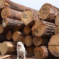 Stonertop Lumber logo
