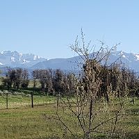 Blue Lake Ranch logo