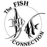 Fish Connection logo