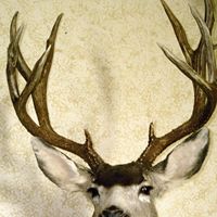 High Desert Taxidermy logo