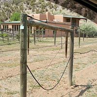 Guy Drew Vineyards logo