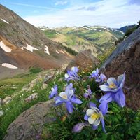 Rocky Mountain Scenics logo