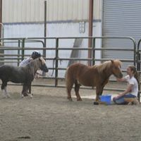 San Miguel County Fairgrounds logo
