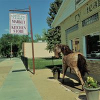 Straw Hat Farm Market & Kitchen Store logo