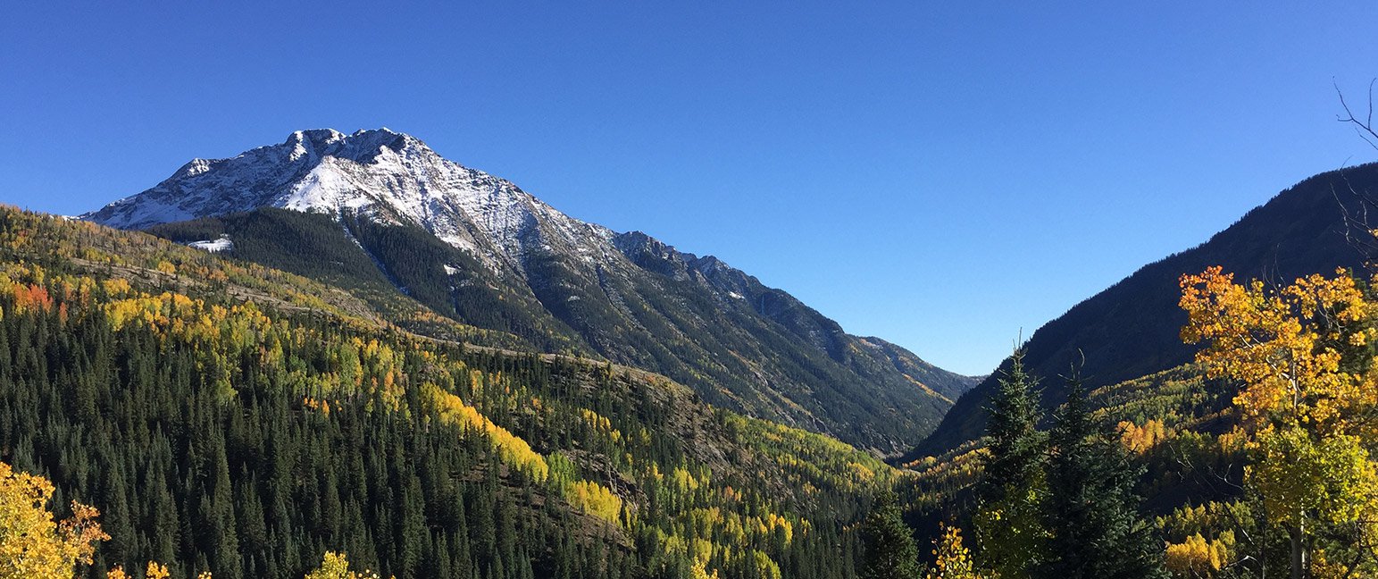 Mcdonough James logo