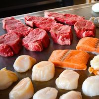 Teppan Fuji logo