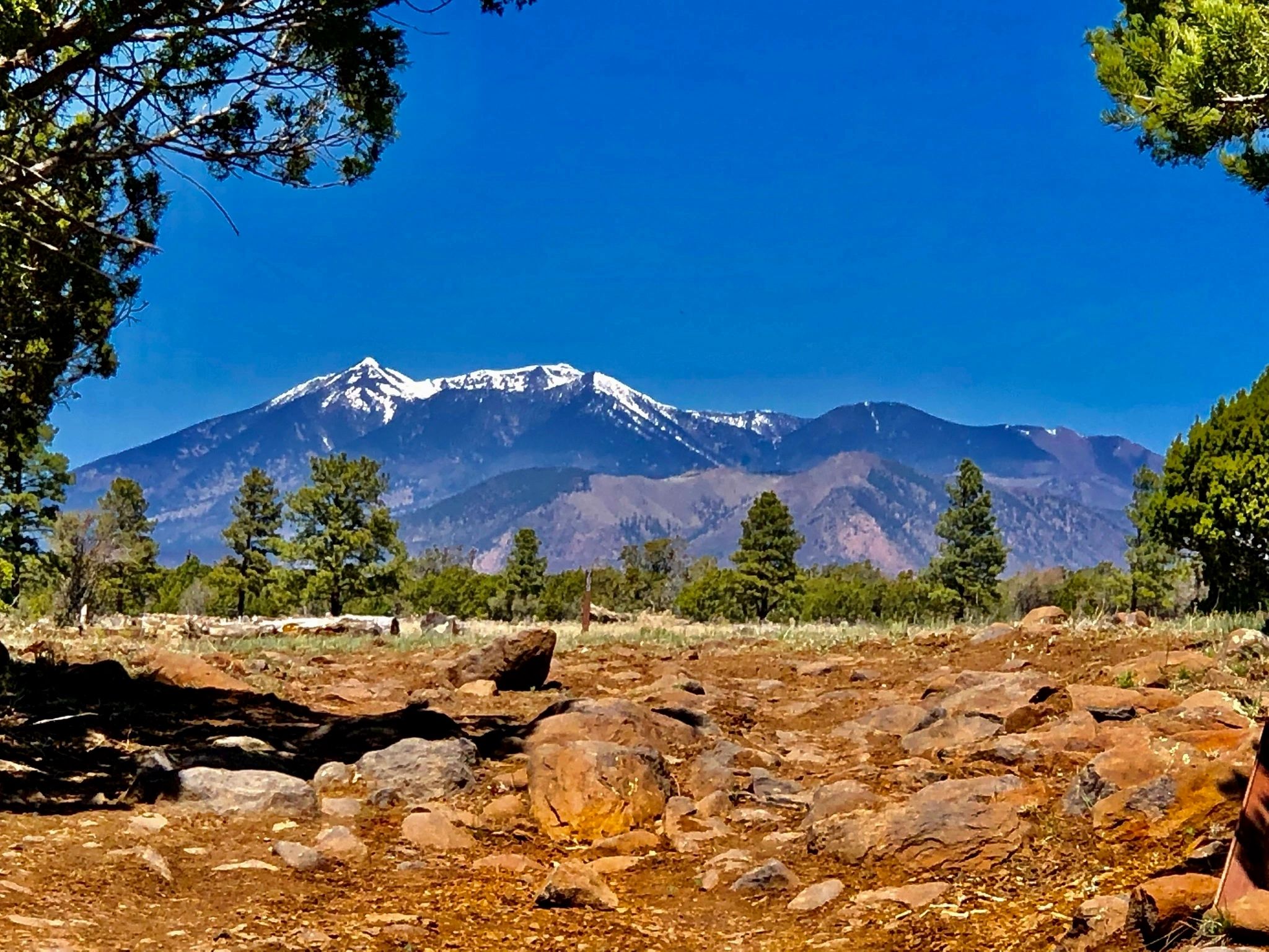 Northern Arizona Biological Dentistry logo