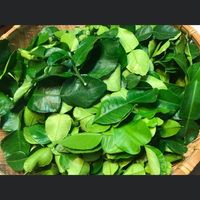 Lek's Asian Market logo