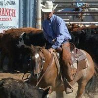 Phil Jackson Cutting Horses logo