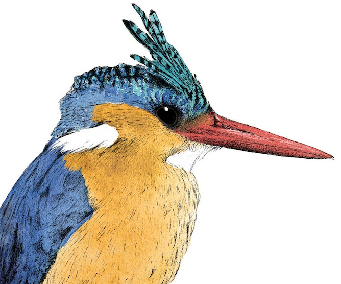 Rare Bird Strategic logo