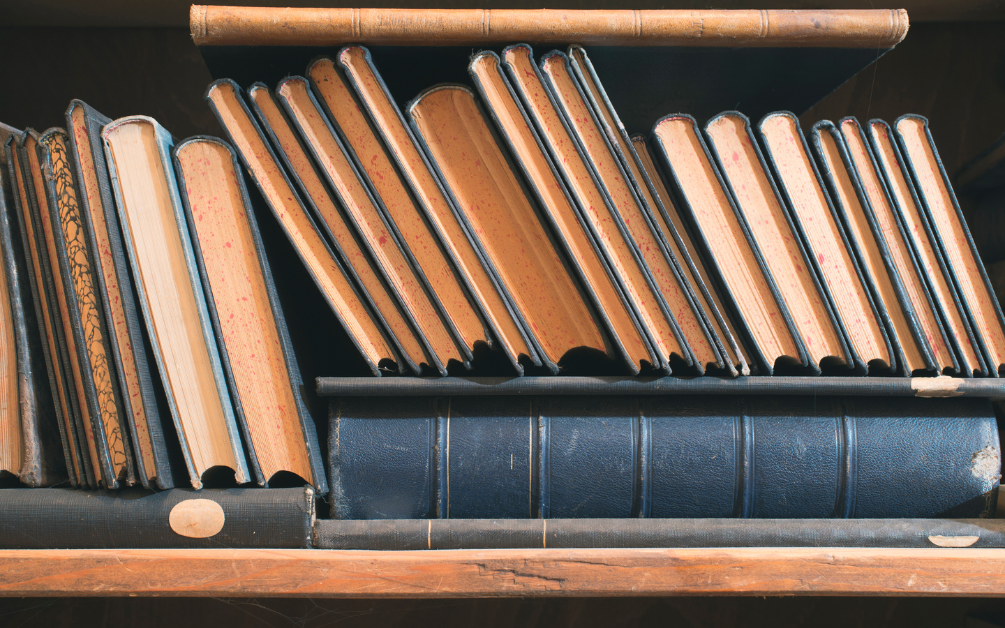 Msrobinsonsbooks logo