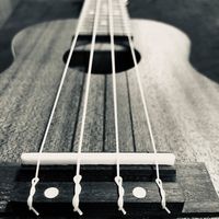 Richards Music Co logo