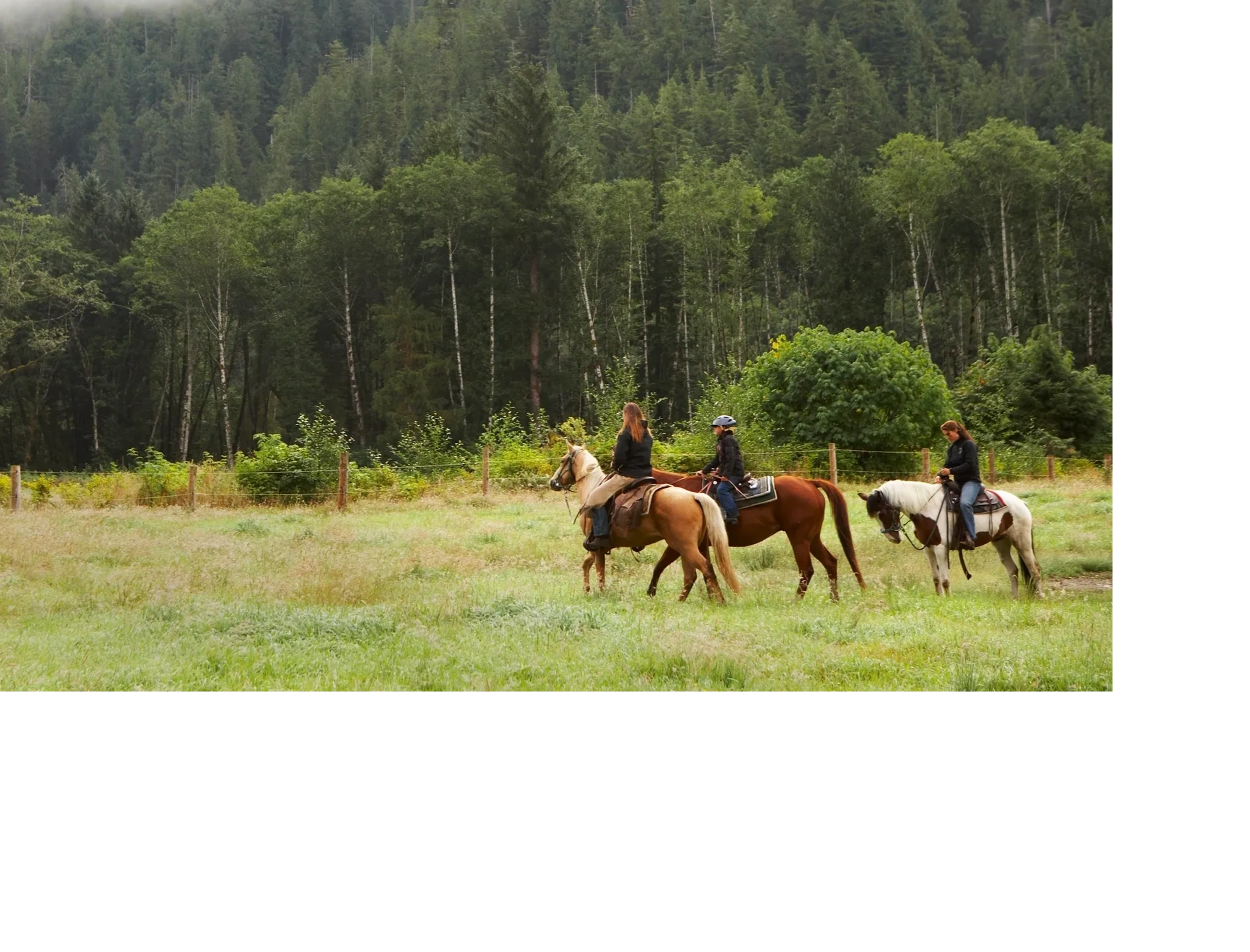 Eastern Washington Quarter Horse Association logo