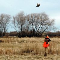 Cooke Canyon Hunt Club logo