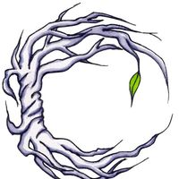 Carigen's Certified Public Accountants logo