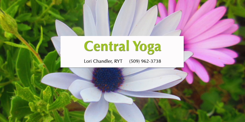 Chandler Lori logo