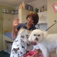 Carolyn's Pet Grooming logo