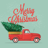 Candy Cane Forest Christmas Trees logo