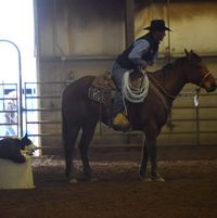 Satus Stockdogs & Livestock LLC logo