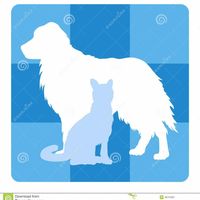 Selah Veterinary Hospital logo