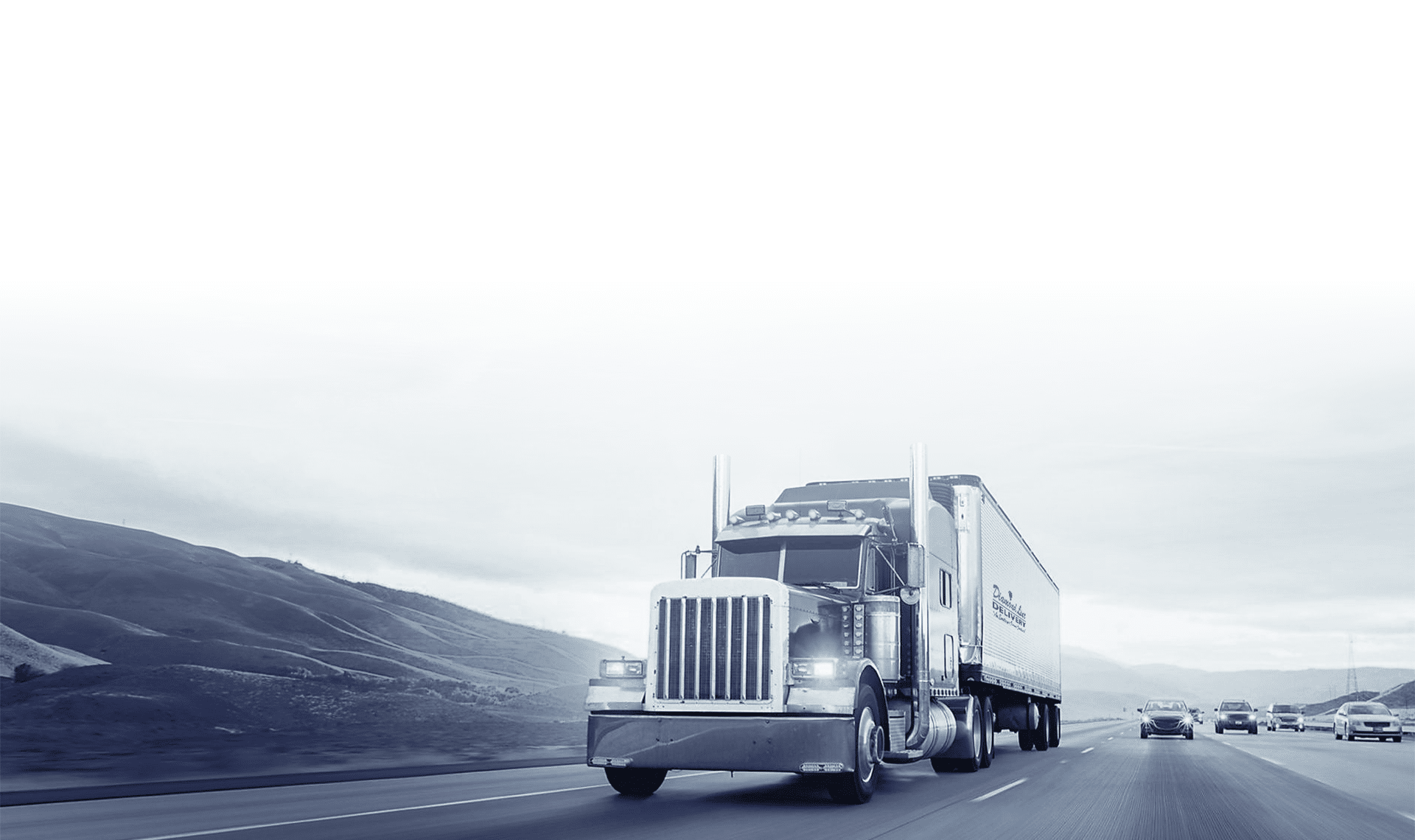 Diamondline Delivery Systems Inc logo
