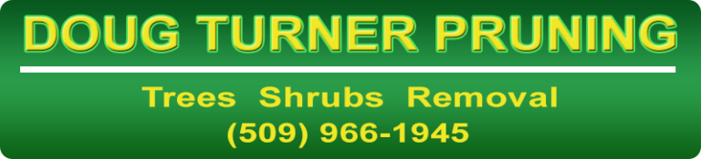 Doug Turner Pruning logo