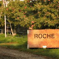 Roche Fruit logo