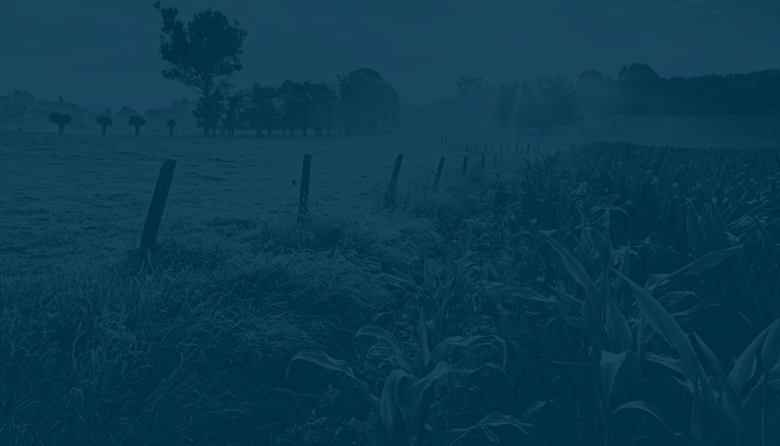 Northwest Harvest logo