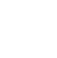 Stephen R Ottosen Dds logo