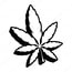 Cannabis Provisions logo