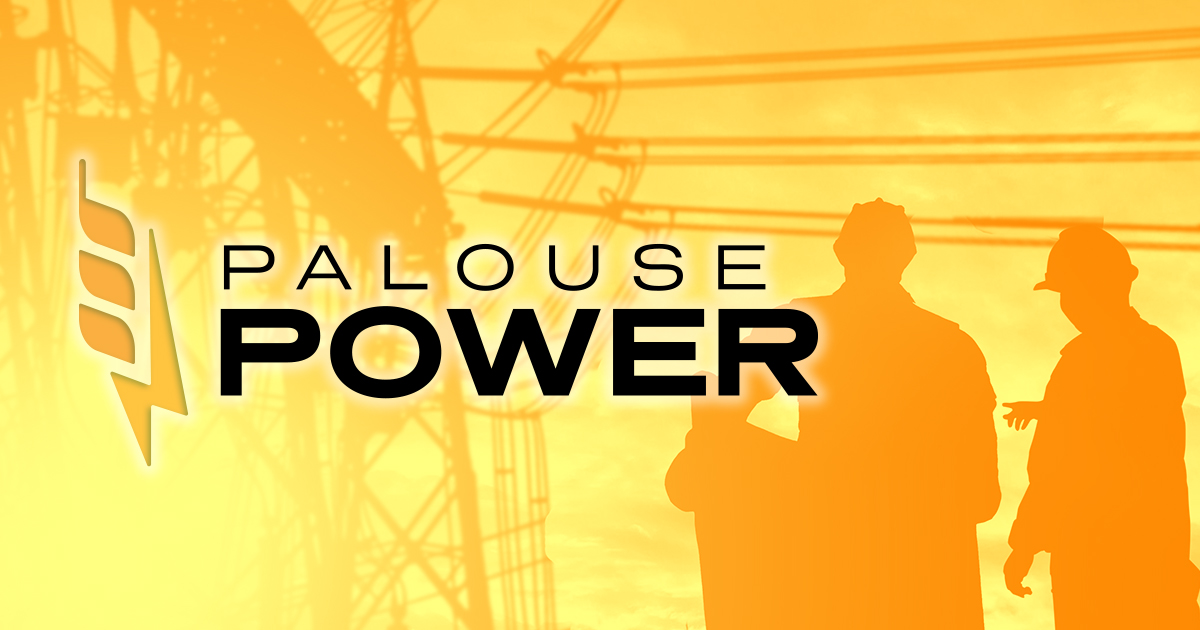 Palouse Power Llc logo