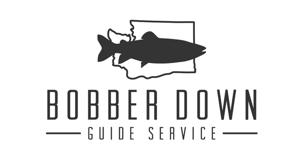 Bobber Down Guide Service logo
