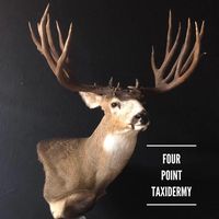 Four Point Taxidermy logo