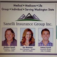 Sanelli Insurance Group Inc logo