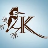 Kingfisher Restaurant & Wine Bar logo