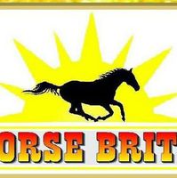 Horse Brite Equine Nutritional Products logo